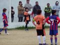LVBF1FC 046