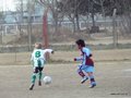 LVBF1FC 028