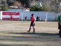 LVBF4FC 116