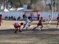 LVBF4FC 113