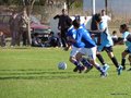 LVBF6FC 113