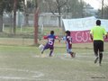 LVBF7FC 117
