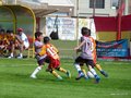 LVBF7FC 077