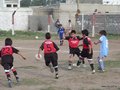 LVBF9FC 110