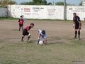 LVBF9FC 087