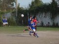LVBF9FC 017