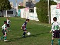 LVBF9FC 137
