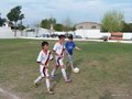 LVBF9FC 076