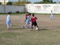 LVBF9FC 086