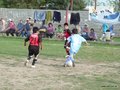 LVBF9FC 115
