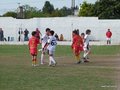 LVBF9FC 061