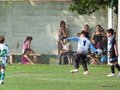 LVBF9FC 142