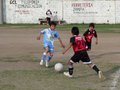LVBF9FC 113