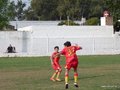 LVBF9FC 044