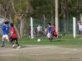 LVBF9FC 023