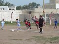 LVBF9FC 123