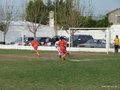 LVBF9FC 059