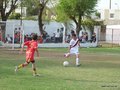 LVBF9FC 043