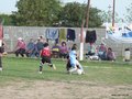 LVBF9FC 116