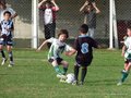 LVBF9FC 126