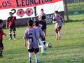 LVBF10FA2013 019