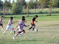 LVBF10FA2013 020