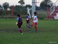 LVBF10FA2013 081