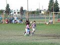 LVBF10FA2013 034