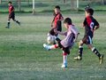 LVBF10FA2013 033