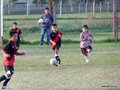LVBF10FA2013 036