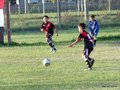LVBF10FA2013 007