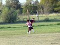 LVBF10FA2013 009