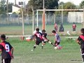 LVBF10FA2013 030