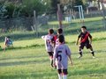 LVBF10FA2013 016