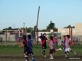 LVBF10FA2013 027