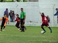 LVBF11FA2013 086