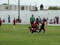 LVBF11FA2013 087