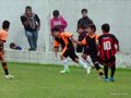LVBF11FA2013 070