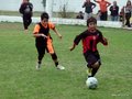 LVBF11FA2013 096