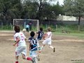 LVBF11FA2013 017