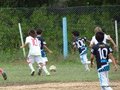 LVBF11FA2013 033