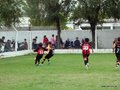 LVBF11FA2013 084