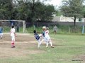 LVBF11FA2013 046