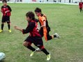 LVBF11FA2013 097