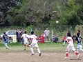 LVBF11FA2013 035