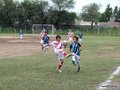 LVBF11FA2013 042