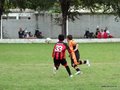 LVBF11FA2013 083