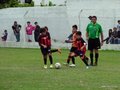 LVBF11FA2013 081