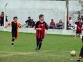LVBF11FA2013 062