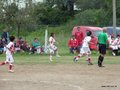 LVBF11FA2013 039